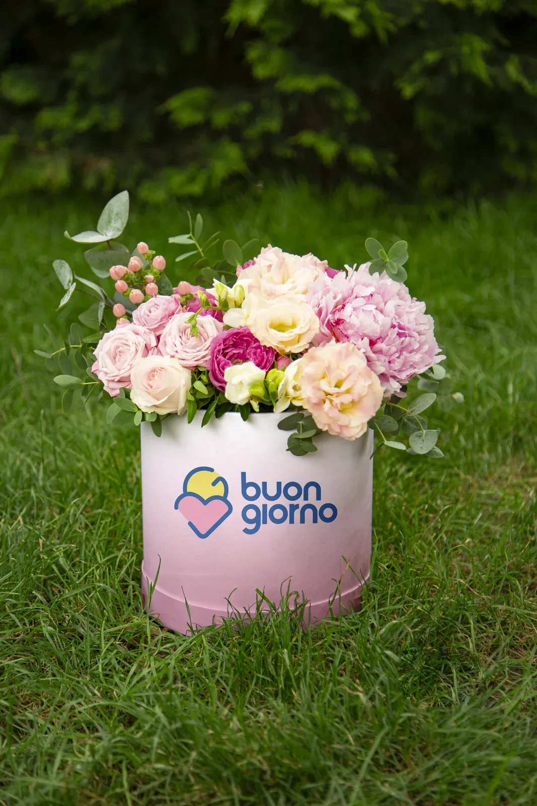 Buon Giorno 4